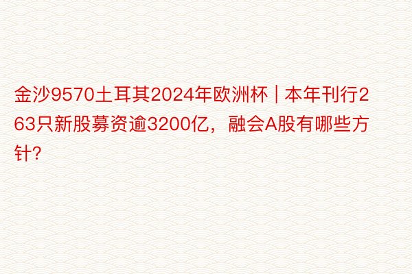 金沙9570土耳其2024年欧洲杯 | 本年刊行263只新股募资逾3200亿，融会A股有哪些方针？