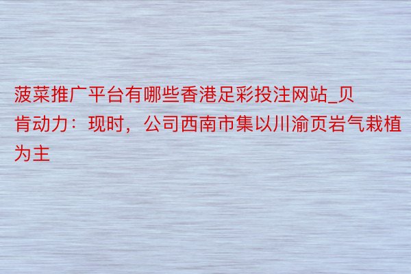 菠菜推广平台有哪些香港足彩投注网站_贝肯动力:现时,公司西南市集以川渝页岩气栽植为主